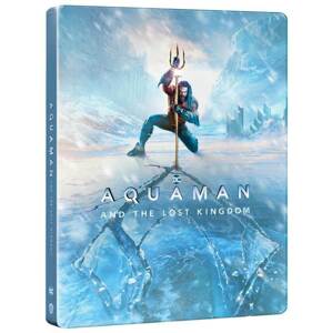 Aquaman a ztracené království (BLU-RAY + DVD) - STEELBOOK (motiv Ice)