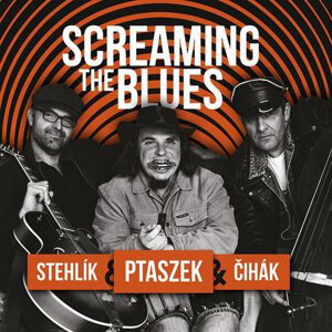 Matěj Ptaszek, Jan Stehlík, Jan Čihák: Screaming the Blues (CD)