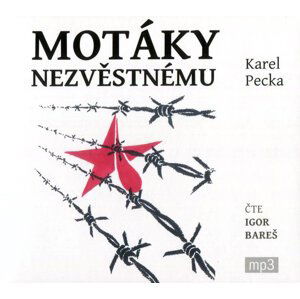 Motáky nezvěstnému (3 MP3-CD) - audiokniha