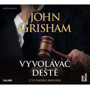 Vyvolávač deště (2 MP3-CD) - audiokniha