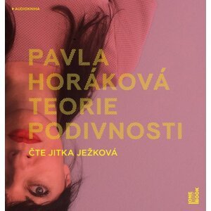 Teorie podivnosti (MP3-CD) - audiokniha