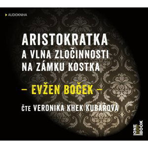 Aristokratka a vlna zločinnosti na zámku Kostka (MP3-CD) - audiokniha