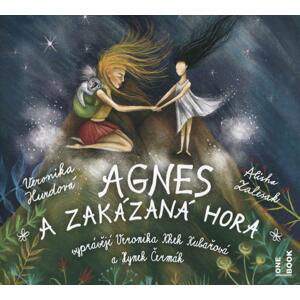 Agnes a Zakázaná hora (MP3-CD) - audiokniha