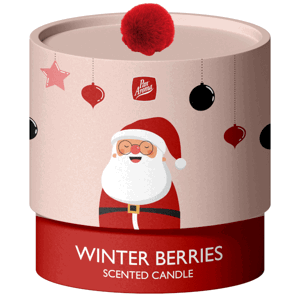 PanAroma vonná svíčka v dárkovém balení Winter Berries 100g