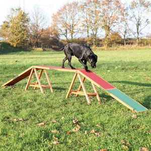 Trixie Dog Activity Agility lávka - D 456 x Š 30 x V 64 cm