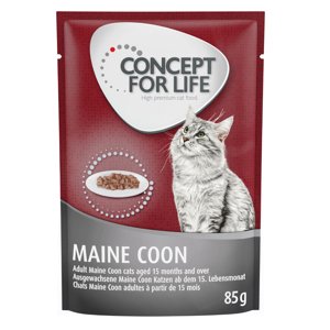 Concept for Life kapsičky, 48 x 85 g za skvělou cenu! - Maine Coon Adult (ragú kvalita)