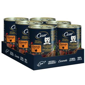 Cesar Natural Goodness - krůtí Superfoods (24 x 400 g)