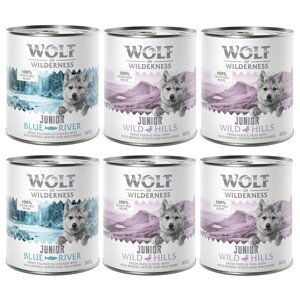 6 x 800 g míchaná balení - Wolf of Wilderness - 6 x 800 g: 4x kachní & telecí, 2x kuřecí & losos
