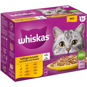 Whiskas 1+ Adult Megapack kapsičky 24 x 85 g / 100 g - drůbeží výběr v želé (85 g)