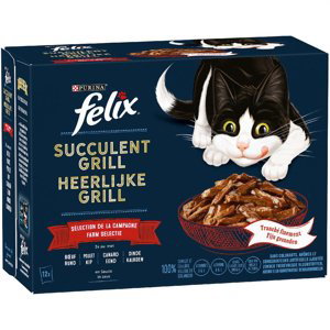 Felix "Tasty Shreds" kapsičky, 12 x 80 g - 10 % sleva - lahodný výběr (hovězí, kuřecí, kachní, krocaní)