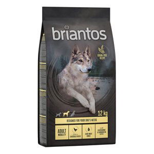 Briantos bez obilovin granule, 12 kg - 11 + 1 kg zdarma!  - Adult Mobility kuřecí & brambory - bez obilovin