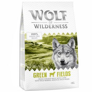 1 kg Wolf of Wilderness za skvělou cenu! - Adult "Green Fields" - jehněčí (1 kg)