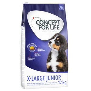Concept for Life granule, 12 kg - 10 % sleva - X-Large Junior