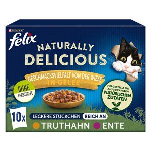 Výhodné balení MP Felix Naturally Delicious 20 x 80 g - krocaní a kachní