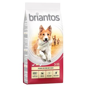 Briantos, 14 kg - 10 % sleva - Adult kuřecí s rýží (14 kg)