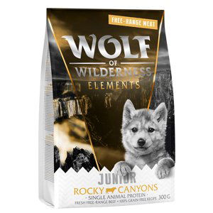 Wolf of Wilderness JUNIOR "Rocky Canyons" Beef - 300 g