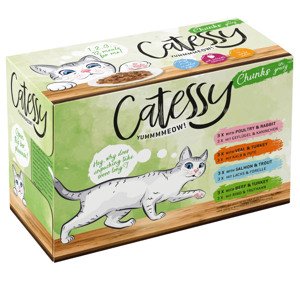 Míchané balení Catessy kousky v omáčce - 12 x 100 g se 4 druhy