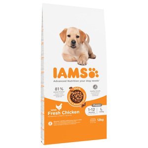 IAMS for Vitality Dog Puppy & Junior Large kuřecí - 12 kg