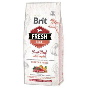 Brit Fresh Beef with Pumpkin Puppy Large - 12 kg