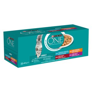 PURINA ONE Adult 40 x 85 g - Míchané balení - míchaný výběr