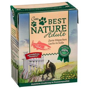 Best Nature Adult Cat 16×370 g – výhodné balení - losos v omáčce