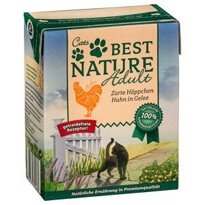 Best Nature Adult Cat 16×370 g – výhodné balení - kuřecí v želé