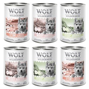 Wolf of Wilderness Junior "Expedition", 6 x 400 g - míchané balení