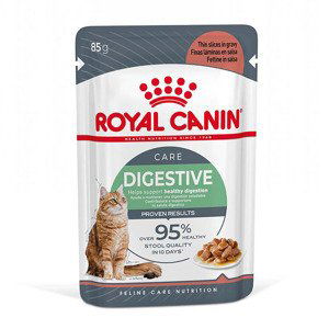 Royal Canin Digestive Care v omáčce - 48 x 85 g