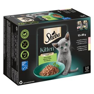 Sheba Kitten variace v kapsičkách 12× 85 g - losos a kuřecí v omáčce