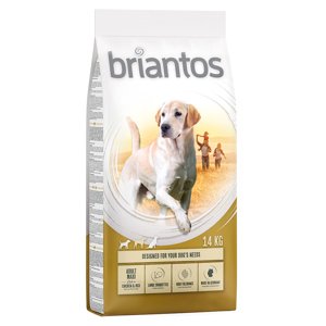 Briantos granule, 14 kg - 13 + 1 kg zdarma! - Adult Maxi