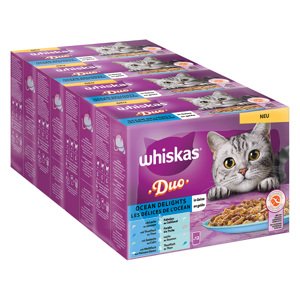 Whiskas kapsičky 96 x 85 g - 80 + 16 zdarma - Duo Multipack kapsičky Ocean Delights v želé