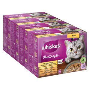 Whiskas kapsičky 96 x 85 g - 80 + 16 zdarma - Pure Delight kapsičky drůbeží ragú v želé