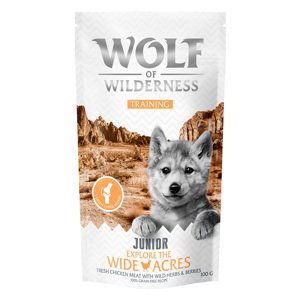 Wolf of Wilderness "Explore" snacky, 2 x 100 g - 15 % sleva - JUNIOR “Explore the Wide Acres” s kuřecím