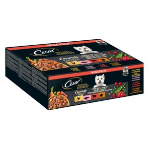 Cesar Natural Goodness bez obilovin se superpotravinami 24 x 100 g - Casserole v omáčce (losos, kuřecí, hovězí, krůtí)