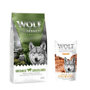 Wolf of Wilderness granule, 12 kg + Training “Explore the Wide Acres” zdarma -  "Untamed Grasslands" Horse 12 kg +  “Explore the Wide Acres” s kuřecím