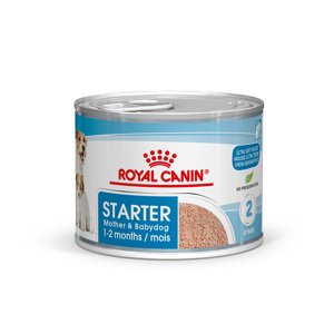 Royal Canin Starter Mother & Babydog Ultra Soft Mousse - 96 x 195 g