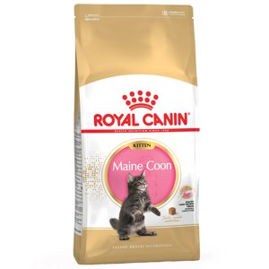 Royal Canin Maine Coon Kitten  - 10 kg