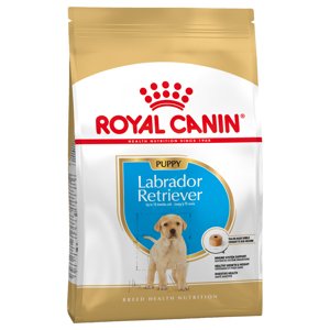 Royal Canin Labrador Retriever Puppy - Výhodné balení 2 x 12 kg