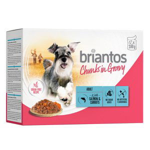 Briantos Chunks in Gravy 48 x 100 g - výhodné balení - losos s mrkví