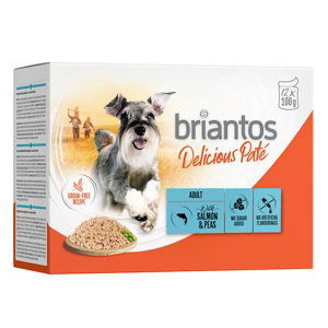 Briantos Delicious Paté 12 x 100 g - losos