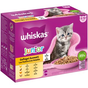 Whiskas Junior Megapack kapsičky 24 x 85 g - drůbeží výběr v želé