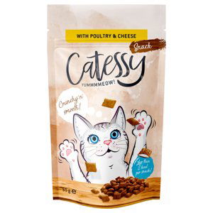 Catessy křupavé taštičky 65 g - s drůbežím & sýrem