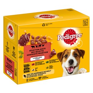 Pedigree kapsička Adult - 12 x 100 g v želé