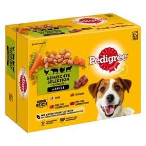 Pedigree kapsička Adult - 12 x 100 g v omáčce