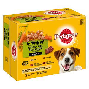 Pedigree kapsička Adult - 96 x 100 g v omáčce