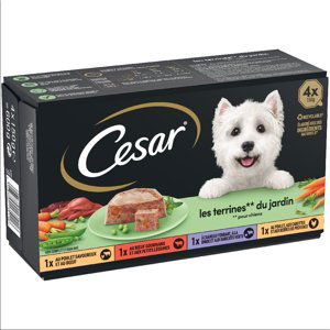 Cesar Classic Selection míchané balení - Garden-Terrine 8 x 150 g