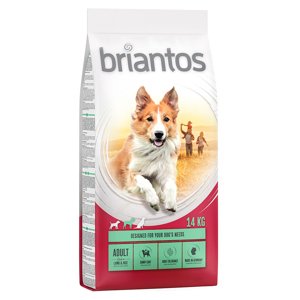 Briantos Adult jehněčí s rýží - 14 kg