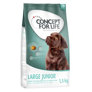 Concept for Life Large Junior - 4 x 1,5 kg