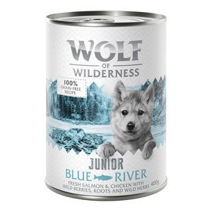 Výhodné balení: Little Wolf of Wilderness Junior 12 x 400 g - Blue River - kuřecí & lososí