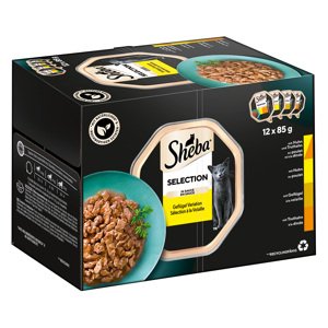 Sheba variace megabalení mističky 12 x 85 g - Selection in Sauce (kuřecí a krůtí, kuřecí, drůbeží, krůtí)